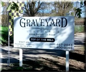Graveyard Vineyards 2